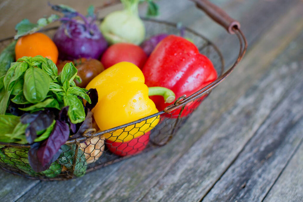Металлическая корзина со свежими овощами на старом деревянном фоне. Свежий перец, помидоры, огурцы, листья базилика и кольраби в металлической корзине - Фото, изображение