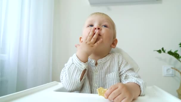 Baby boy sitting on high chair and eating cookie - Video