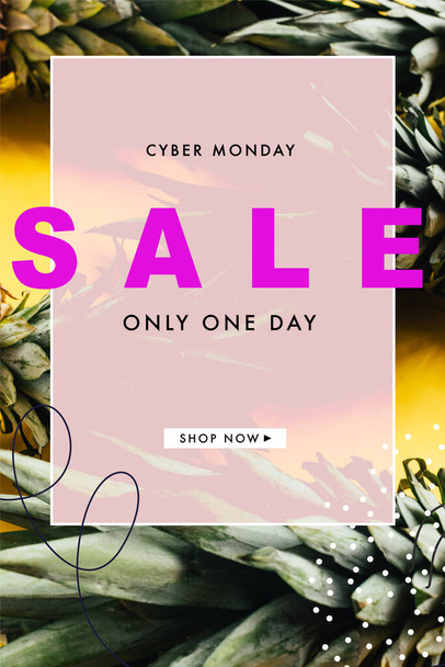 green pineapple leaves on yellow background with cyber monday sale illustration - 写真・画像