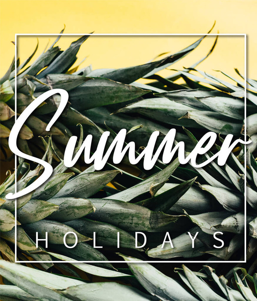green pineapple leaves isolated on yellow background with summer holidays illustration - 写真・画像