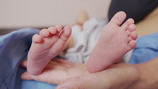 Little feet of a newborn baby. Caring for a child. Closeup. - Footage, Video
