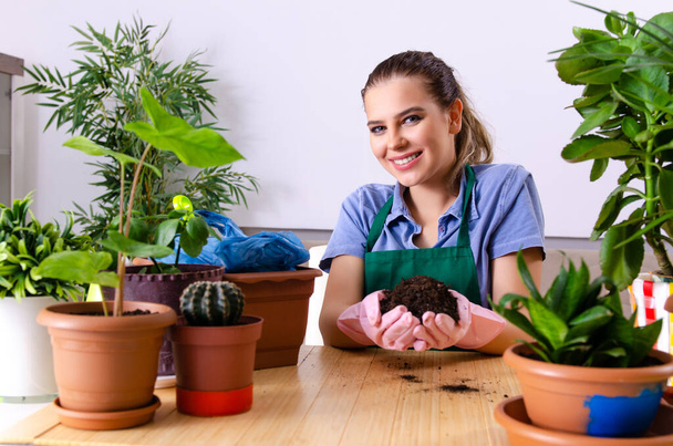 屋内に植物を持つ若い女性の庭師 - 写真・画像