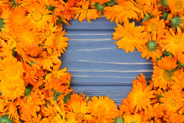 Tuoreet marigold-kukat (Calendula officinalis) harmaalla puupohjalla, lääkekasvien korjuu kesällä - Valokuva, kuva