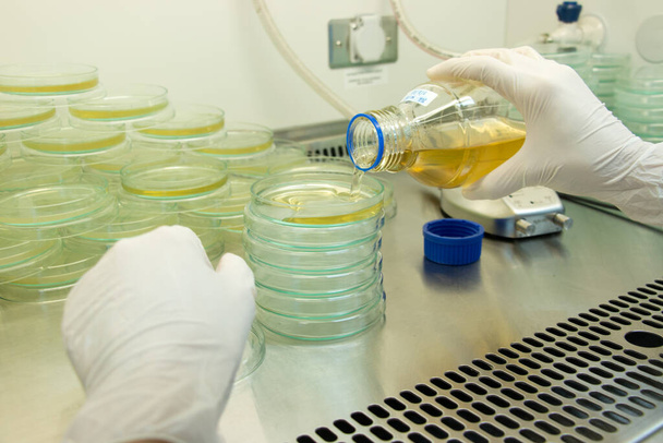 Scientifique effectuant des tests microbiens dans un laboratoire d'armoires de sécurité biologique. - Photo, image