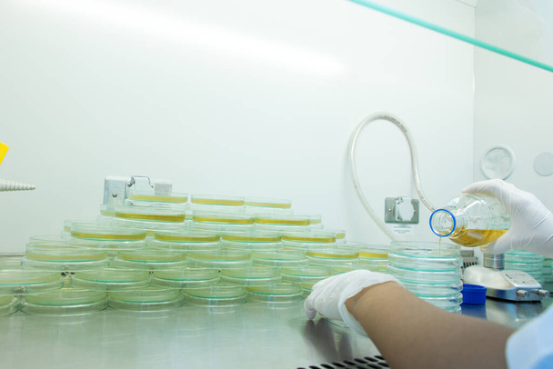 Вчений проводить мікробні тести в лабораторії біологічної безпеки
. - Фото, зображення