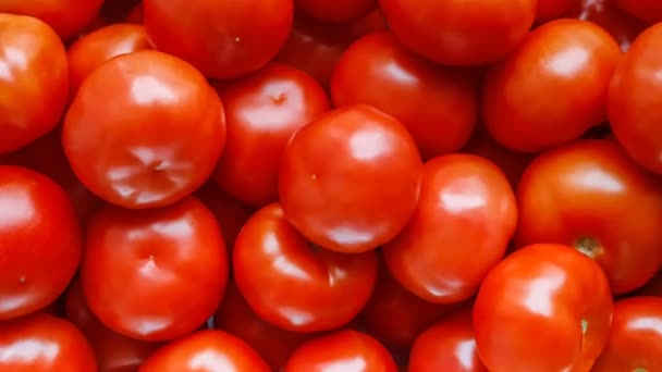 Rode tomaten bovenaanzicht, achtergrond. Rotatie - Video