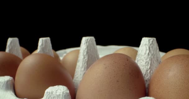 box of eggs super macro closeup shoot  - Footage, Video