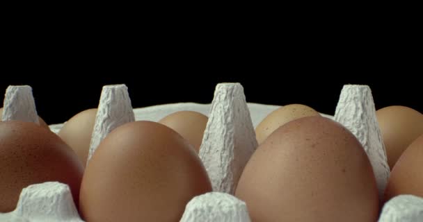 box vajíček super makro detailní záběr  - Záběry, video