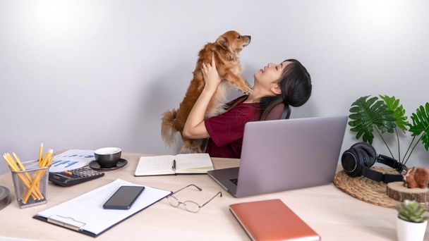 Mulher asiática bonita que trabalha remotamente de casa usando o portátil que senta-se no sofá ou no sofá na sala de estar para o trabalho em linha com o cão bonito e o guardião do filhote de cachorro do animal de estimação, equilíbrio da vida do trabalho
 - Foto, Imagem