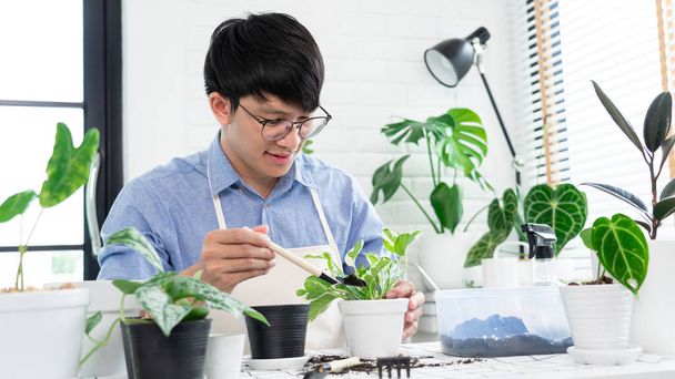 Young Asian man with glasses taking care of his houseplants doing home gardening in his apartment, nature and plants care concept. - Foto, imagen