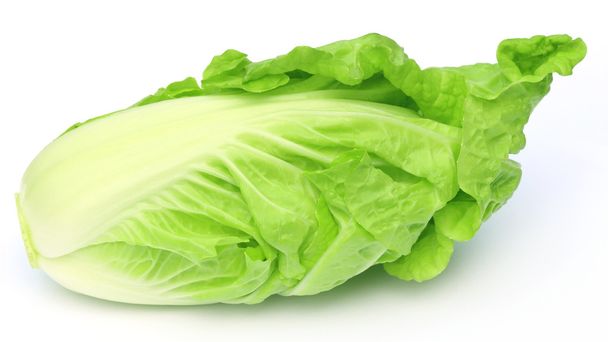 Fresh chinese cabbage - Фото, изображение