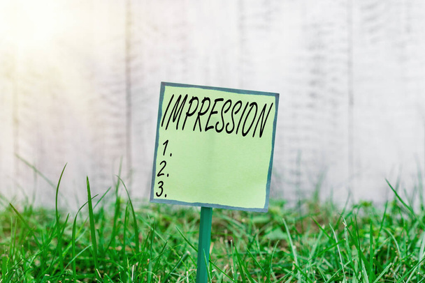Conceptual hand writing showing Impression. Business photo showcasing an idea and feeling or opinion about something or someone Plain paper attached to stick and placed in the grassy land. - Photo, Image