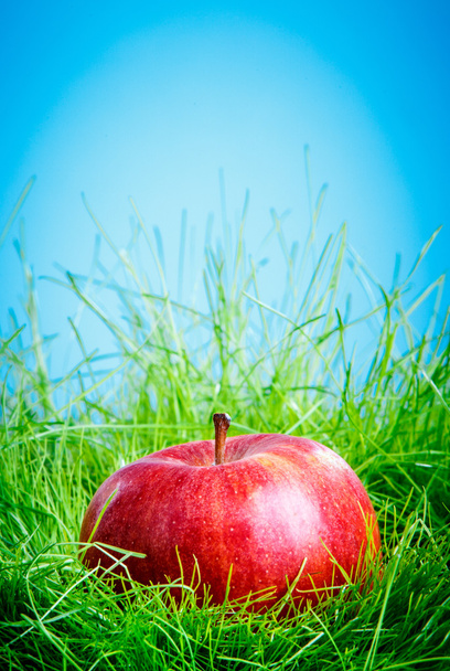 μήλο στο γρασίδι - Φωτογραφία, εικόνα