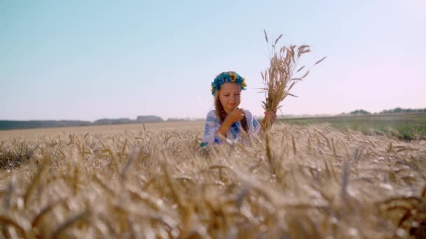 Ragazzina in abito nazionale con una ghirlanda sulla testa raccoglie spighe di grano. Campo dorato di grano in crescita. Raccolta del pane. - Filmati, video