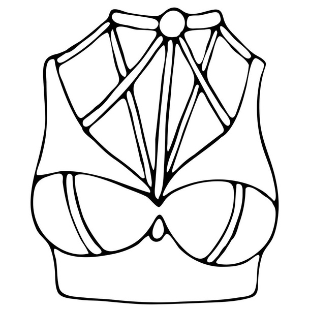set of female sexy underwear - bra, top with straps and straps, vector elements in doodle style with black outline - Vector, Image