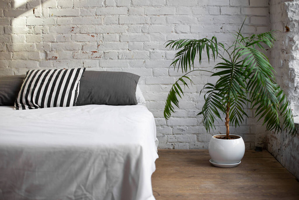 Simple modern bedroom interior with living flower near the bed. - Φωτογραφία, εικόνα