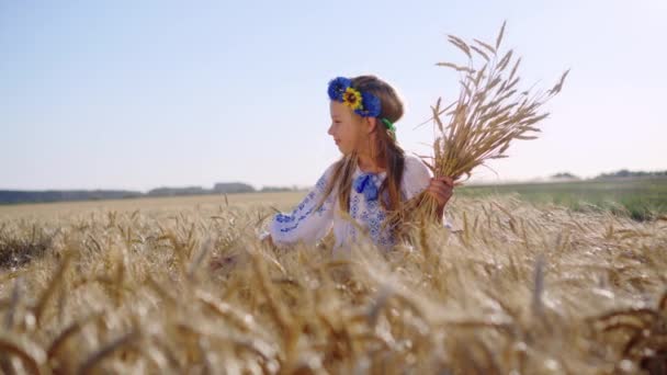 Mała dziewczynka w sukience narodowej z wieńcem na głowie głaszcze kolce chleba na boisku. Zbieranie plonów w letni dzień. Piękne dziecko.. - Materiał filmowy, wideo