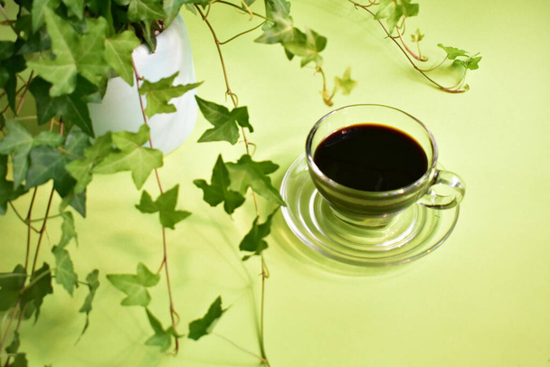 Zöld munkahely, zöld irodai asztal fekete kávé pohár, pasztell zöld háttér, friss, új élet, béke, környezetbarát - Fotó, kép