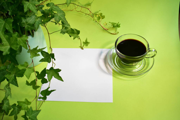 Posto di lavoro verde, scrivania ufficio verde con tazza di caffè nero, sfondo verde pastello, fresco, nuova vita, pace, ecologico - Foto, immagini