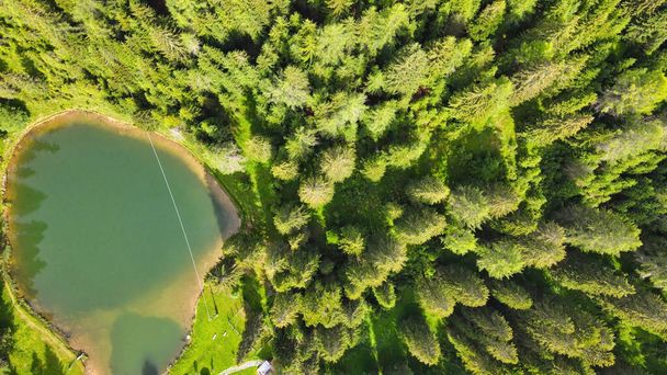 Alpin jezero v letním období obklopen krásným lesem, nad hlavou dolů letecký výhled. - Fotografie, Obrázek