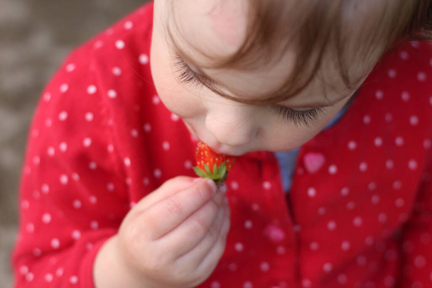 petit enfant dans un pull rouge avec de beaux yeux et une bouche sale mange des fraises - Photo, image