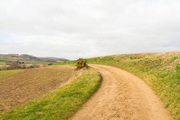 Isle of Wight Landscape - Foto, Bild