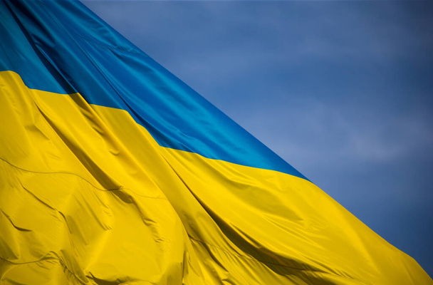 Bandiera nazionale dell'Ucraina indipendente sventola nel vento - Foto, immagini