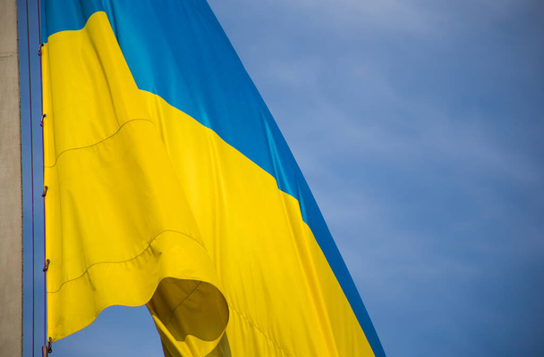 Drapeau national de l'Ukraine indépendante agitant le vent - Photo, image