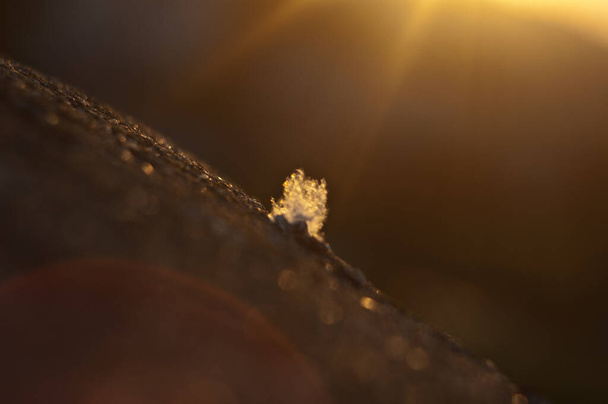 Zamazane tło z nasłonecznionym puchem na kamieniu i promieniami słońca po prawej - Zdjęcie, obraz