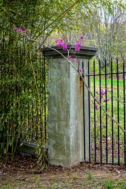 Fleurs tombées contre le pilier d'une clôture en fer forgé au Snug Harbor Cultural Center and Botanical Garden, à Staten Island, New York. - Photo, image