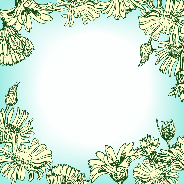 chamomiles ile çerçeve çiçek - Vektör, Görsel