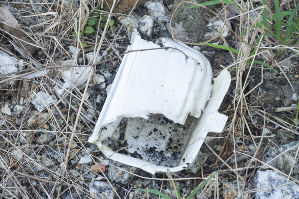 wyrzucone brudne pudełko polistyrenu hodowla na ziemi dla komara - Zdjęcie, obraz