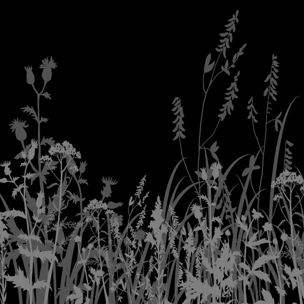 Silhouettes of flowers and grass at night - Vektor, kép