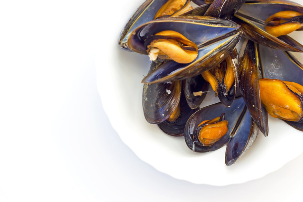Cooked mussels - Photo, Image
