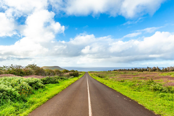 Route de l'île de Pâques, Rapa Nui. Chili. Endroit incroyable. - Photo, image