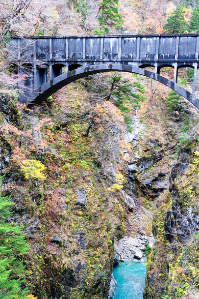 Kurobe Gorge Railway bridge, Japan - Photo, Image