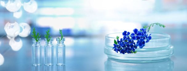 roxo azul natureza flor e verde deixar na placa de vidro e frasco para injetáveis com estrutura química em fundo ciência biotecnologia azul
 - Foto, Imagem