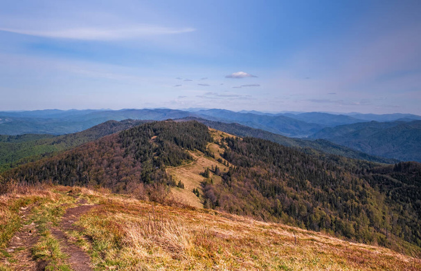 Blick von der höchsten Stelle in der Region Lvivs - Berg Paraschka oder Paraska mit klarer Fernsicht und wolkenverhangenem Himmel. Grüne Wiesen und dunkelgrüner Tannenwald. Juni 2020 - Foto, Bild