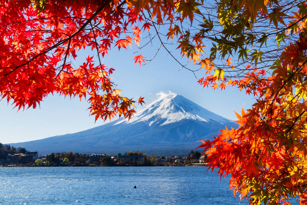 Őszi szezon és hegyi Fuji vörös levelekkel a Kawaguchiko tónál, Japánban. Öt tavas terület. Nézet juharfalevéllel, mint kerettel. - Fotó, kép