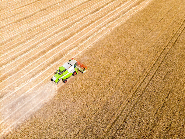 Vista superior de drones aéreos Gran potente máquina cosechadora industrial cosechadora cosechar el campo de cereales de trigo maduro dorado en el brillante día de verano u otoño. Agrícola amarillo campo maquinaria paisaje fondo. - Foto, Imagen
