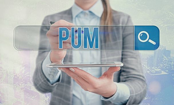 Szóírás szöveg Pum. Üzleti koncepció a legitim alkalmazások által végrehajtható nem kívánt változásokra Internetes keresés digitális információ futurisztikus technológiai hálózati kapcsolat. - Fotó, kép