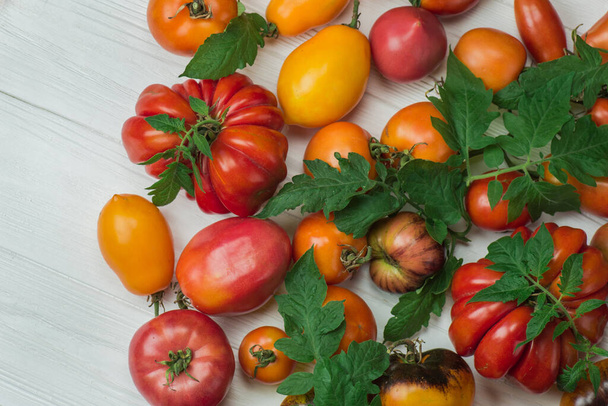 木の背景にトマト。木製の背景に異なるカラフルなトマト。有機グリーン、赤、黄色、オレンジトマト. - 写真・画像