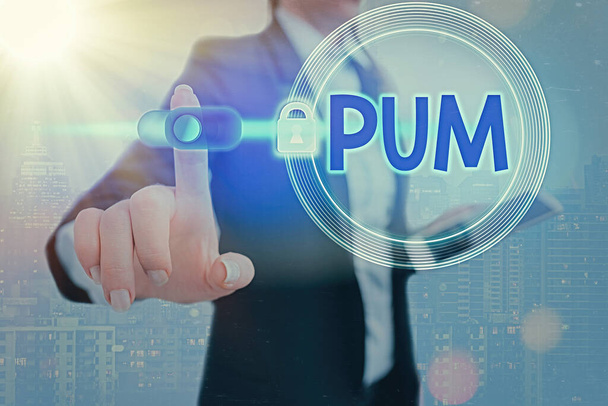 Conceptual hand writing showing Pum. Business photo showcasing unwanted change that can be performed by legitimate applications Graphics padlock for web data security application system. - Photo, Image