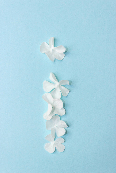 Virág ábécé - I. Élő virágokból készült levél világoskék alapon - Fotó, kép