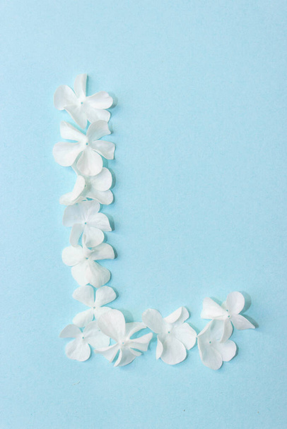 Flower Alphabet - L. Carta feita de flores vivas sobre fundo azul claro
 - Foto, Imagem
