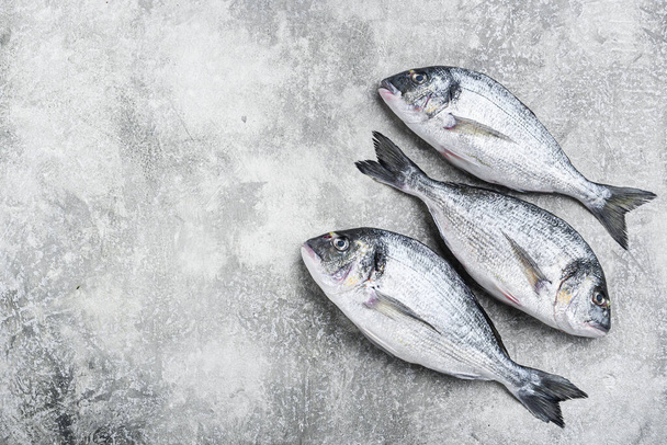 Ganzes Dorado Doraden-Fisch mit Kräutern zum Grillen auf strukturiertem grauen Hintergrund von oben Raum für Text - Foto, Bild