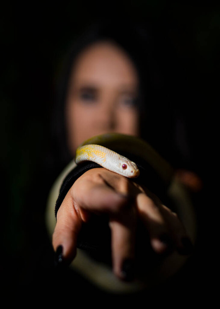 Японський зразок репетиції зі змією у фотостудії.. - Фото, зображення