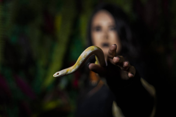 Японський зразок репетиції зі змією у фотостудії.. - Фото, зображення