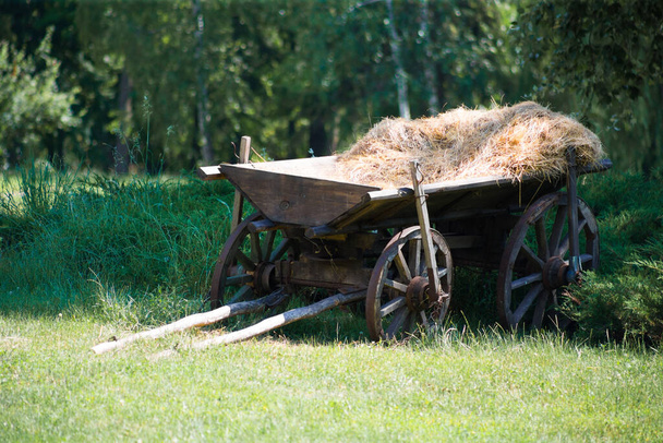 草の上の干し草のための古い田舎のカート - 写真・画像