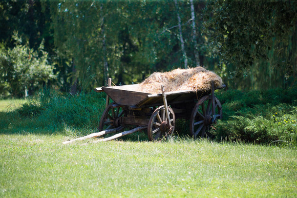 Old rural cart for hay on the grass - Photo, Image